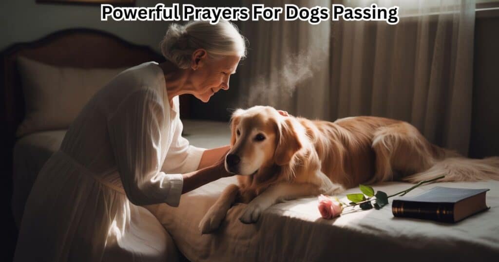 Prayers For Dogs Passing