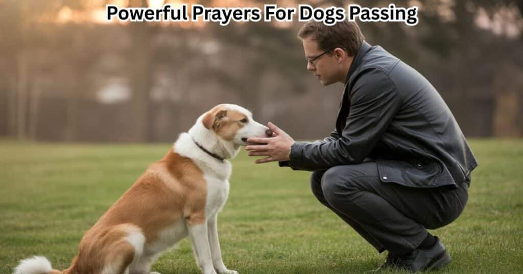 Prayers For Dogs Passing